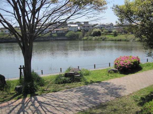 miwadai1-nakao.jpg